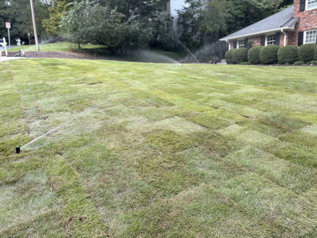 Irrigation project