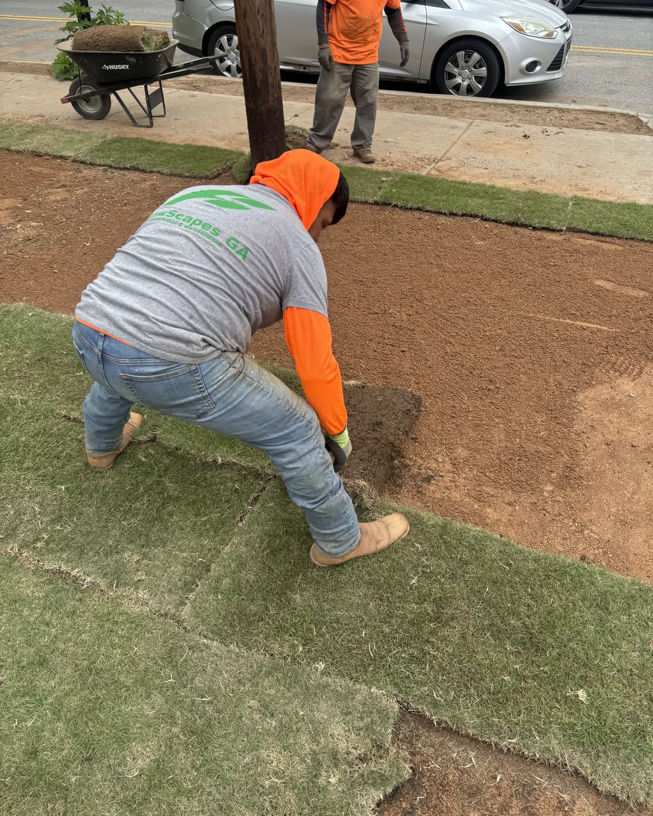 Laying fresh-cut sod